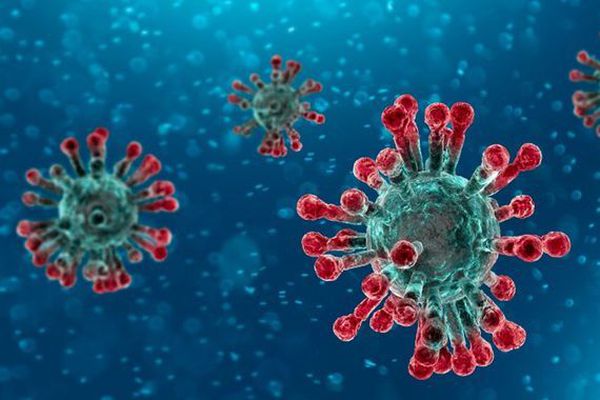 Coronavirus : « Il faut rapidement des indemnisations forfaitaires »